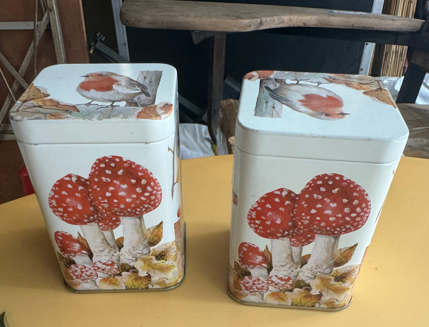 Mushroom Tea Tins